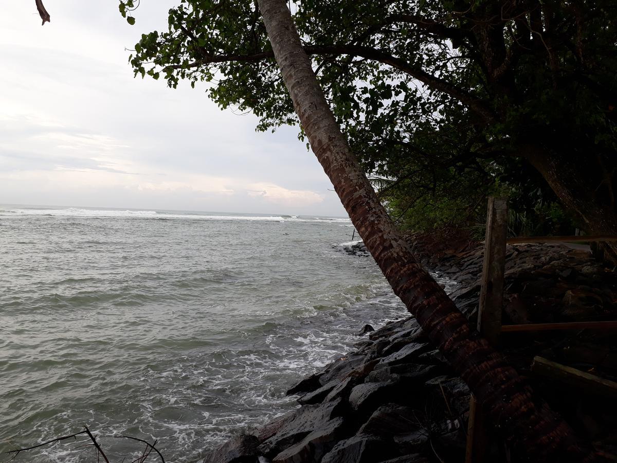 Himawari Beach Villa Matara Buitenkant foto