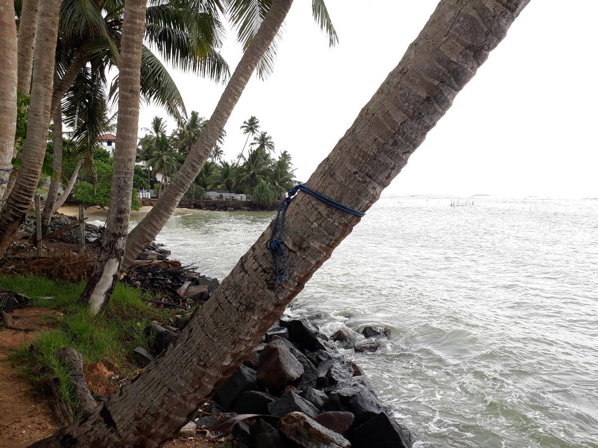 Himawari Beach Villa Matara Buitenkant foto